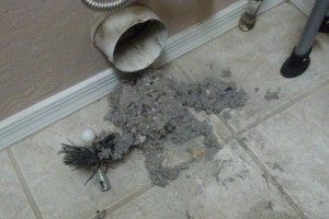 What’s Lurking In Your Dryer Vent?
